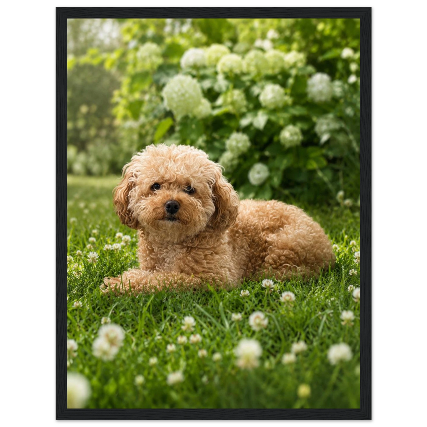 6f09122c-1249-4845-95be-1af8730fa8eb