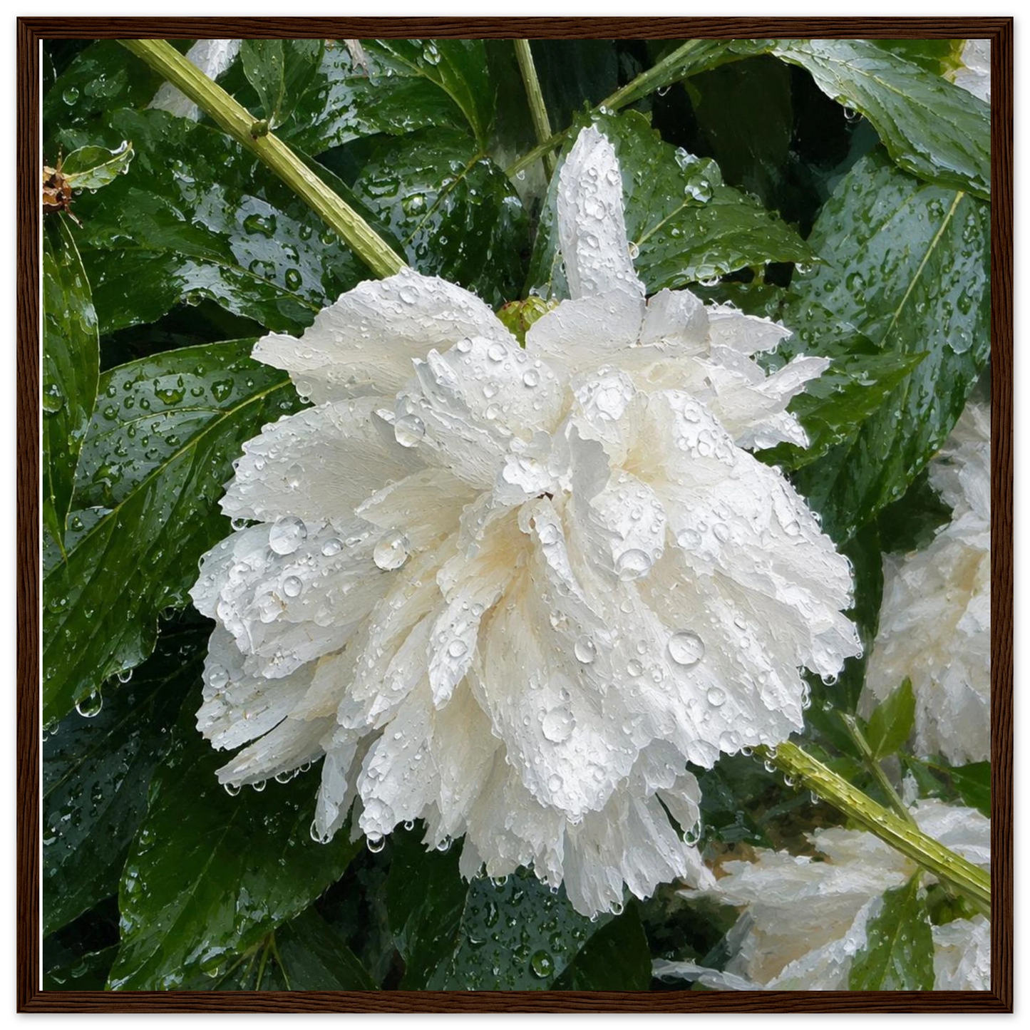 786c291b-1ddd-4f59-acdb-7609ae38370a