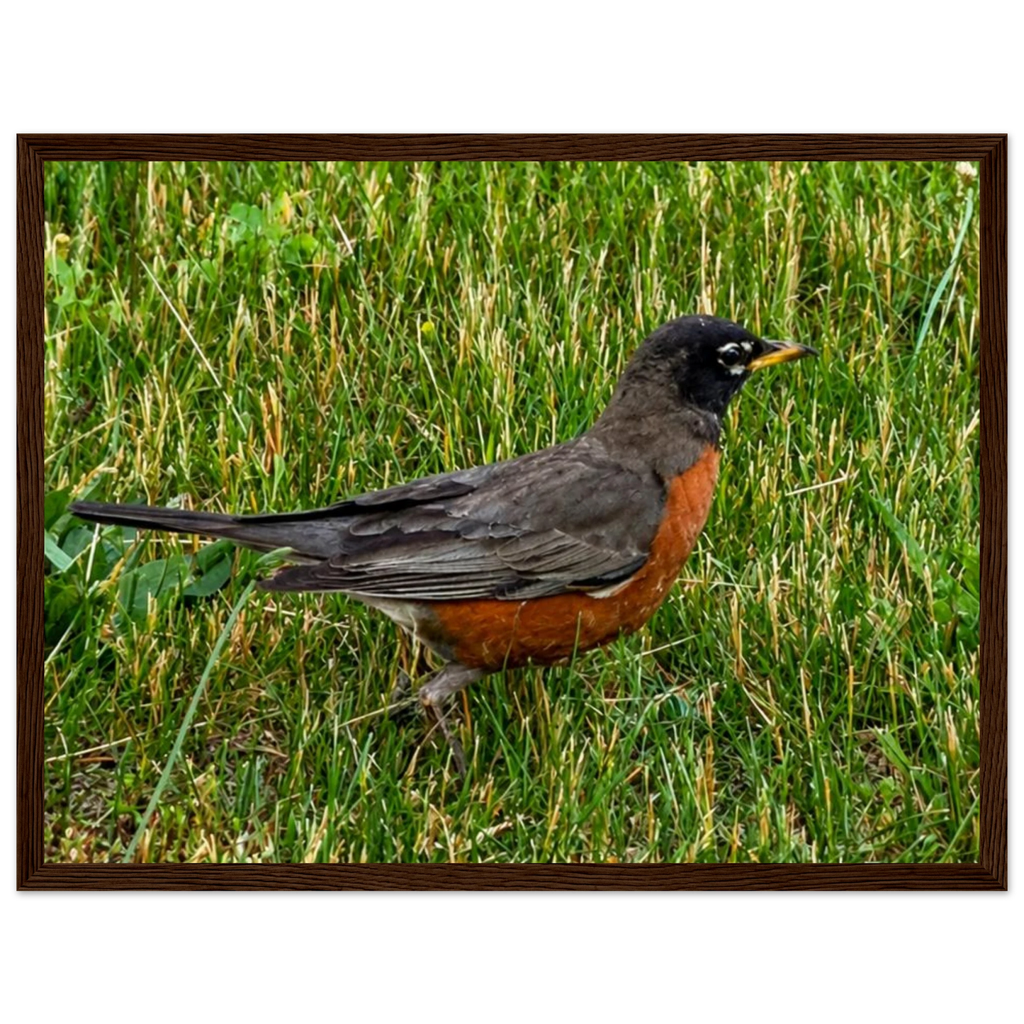 81858f29-9a50-4512-b962-831bdaff243a