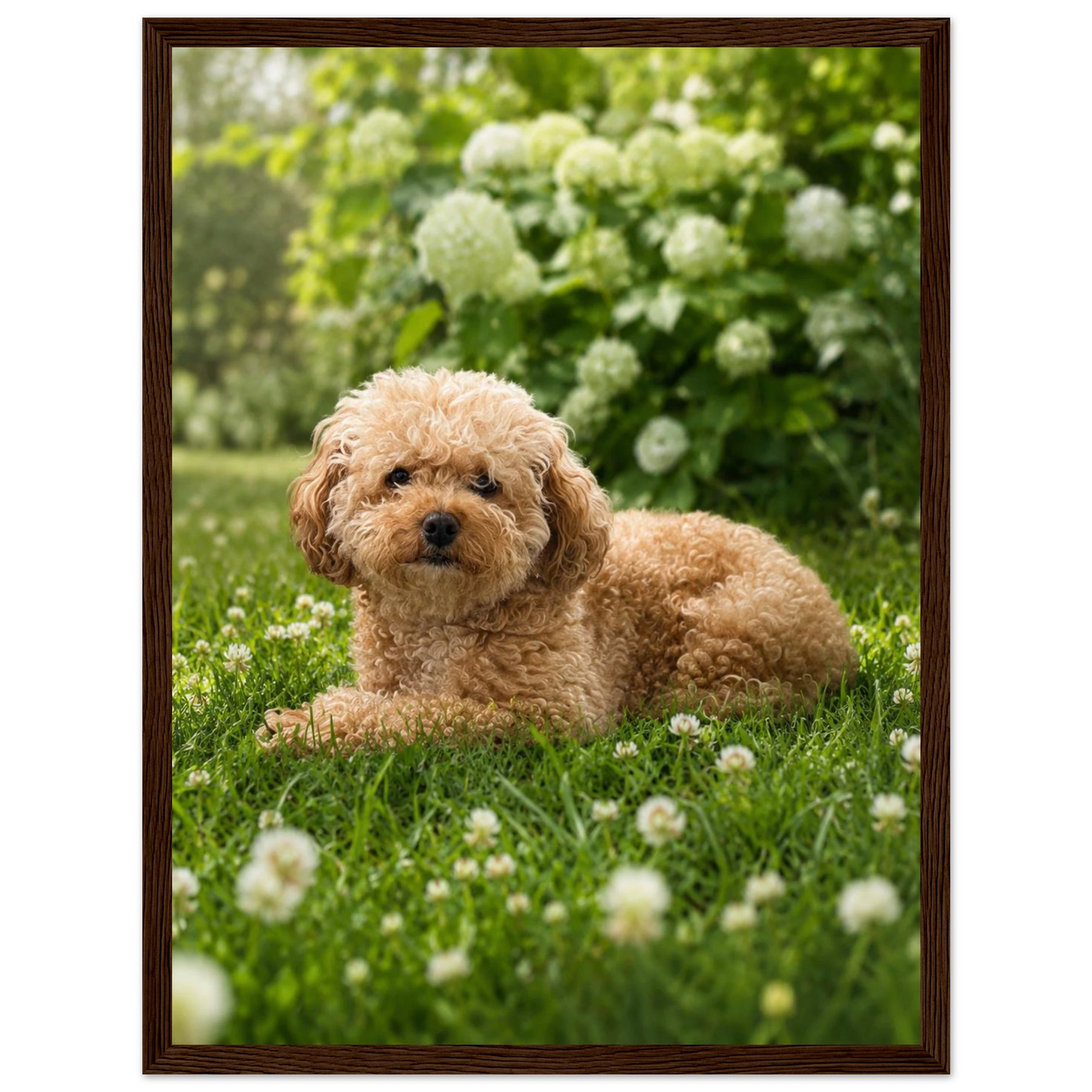 8fcd4669-6494-4f42-a433-5858df03acdb